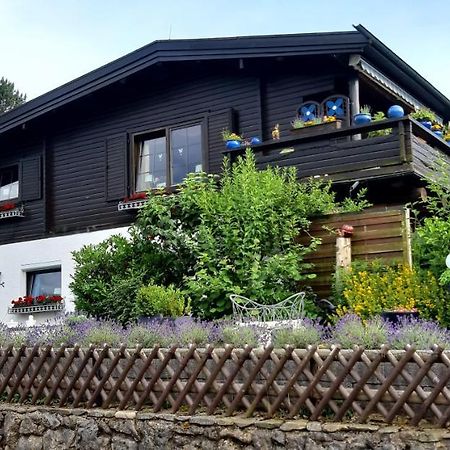 Haus Harzer Bergblick All Inklusiv Bad Lauterberg Esterno foto