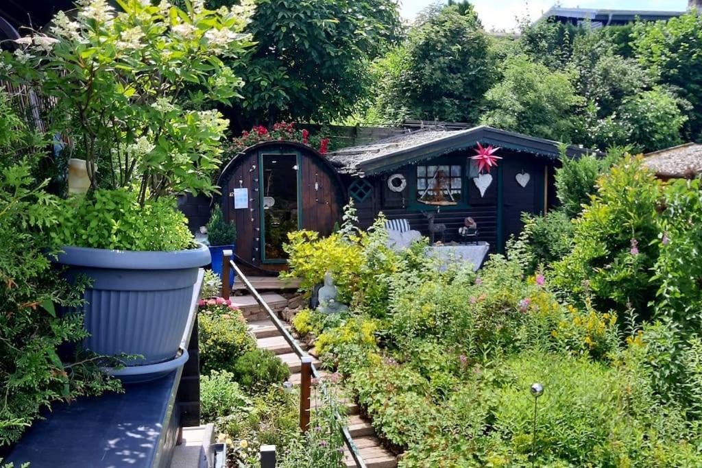Haus Harzer Bergblick All Inklusiv Bad Lauterberg Esterno foto
