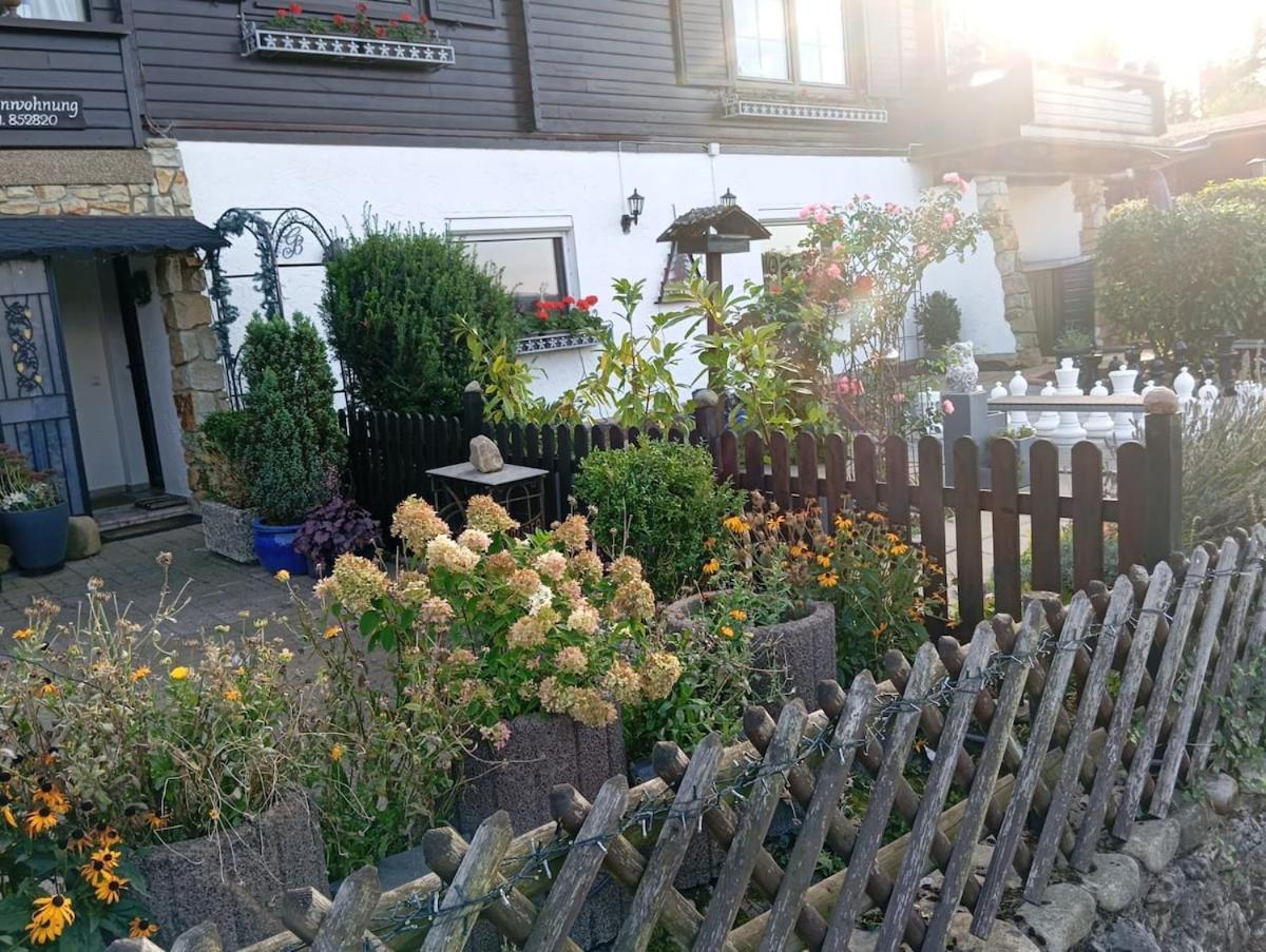 Haus Harzer Bergblick All Inklusiv Bad Lauterberg Esterno foto
